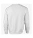 Gildan DryBlend Adult Set-In Crew Neck Sweatshirt (13 Colours) (White)