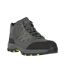 Regatta Mens Sandstone Safety Shoes (Briar Grey/Lime) - UTRG6629
