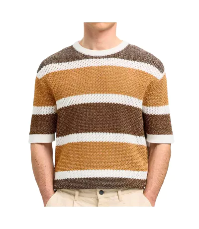 Pull marron/blanc homme selected 16097853