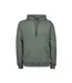 Sweat À Capuche Homme Vert De Gris Tee Jays-1
