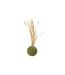 Jouet pour Chat Balle & Herbe 14cm Naturel