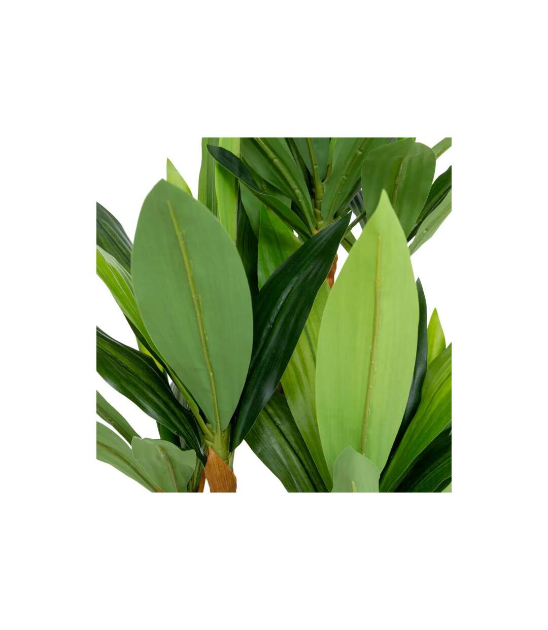 Plante Artificielle Dracena Onia 105cm Vert-2