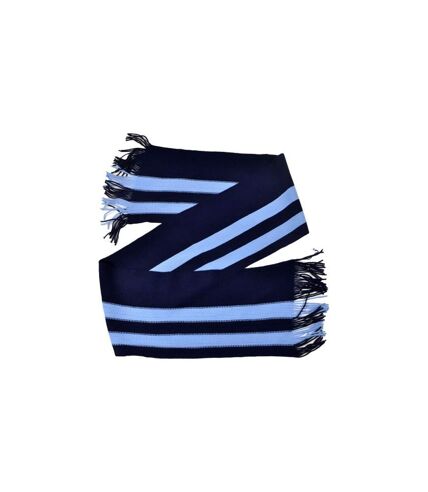 BB Sports Bar Knitted Winter Scarf (Navy/Sky Blue) (One Size) - UTBS3804