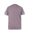 Duke Mens Barming D555 Vintage Kingsize T-Shirt (Gray) - UTDC334