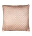Prestigious Textiles Frame Throw Pillow Cover (Rose) (One Size)