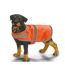 Hi-vis dogs vest s orange Yoko