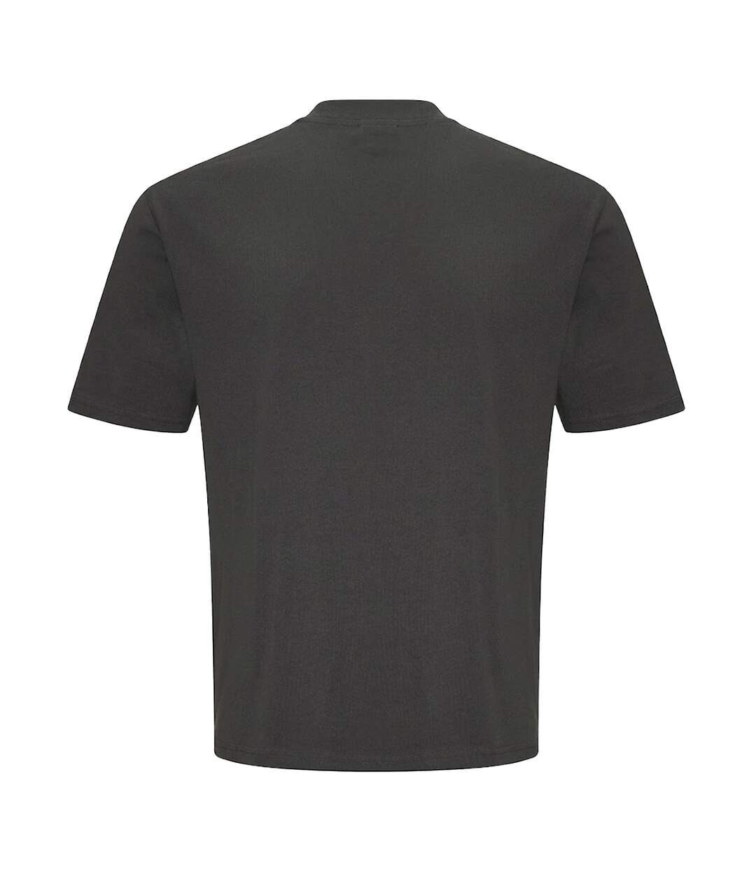 T-shirt Homme Charbon Uni Awdis-2