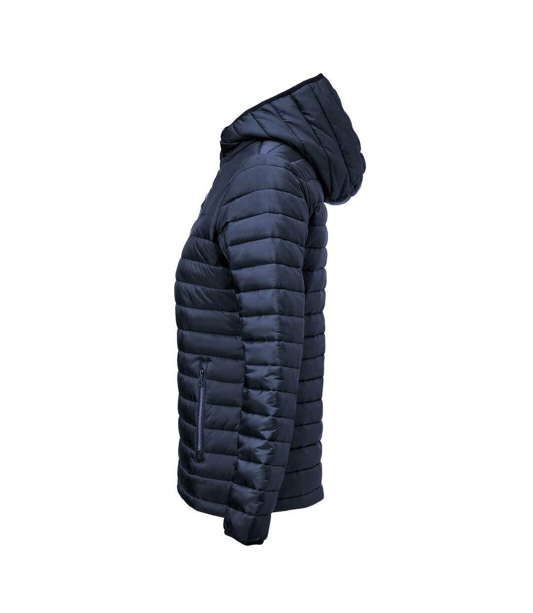 Veste Meadows Femme Bleu Marine James Harvest-3