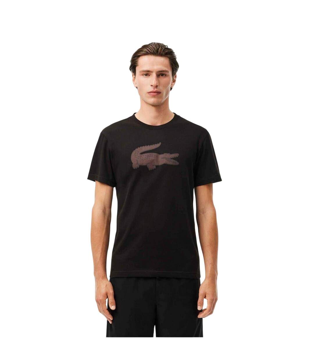 T-shirt Motif/style Logo Homme Noir Lacoste-2