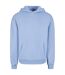 Sweat À Capuche Homme Bleu Pâle Urban Classics-1