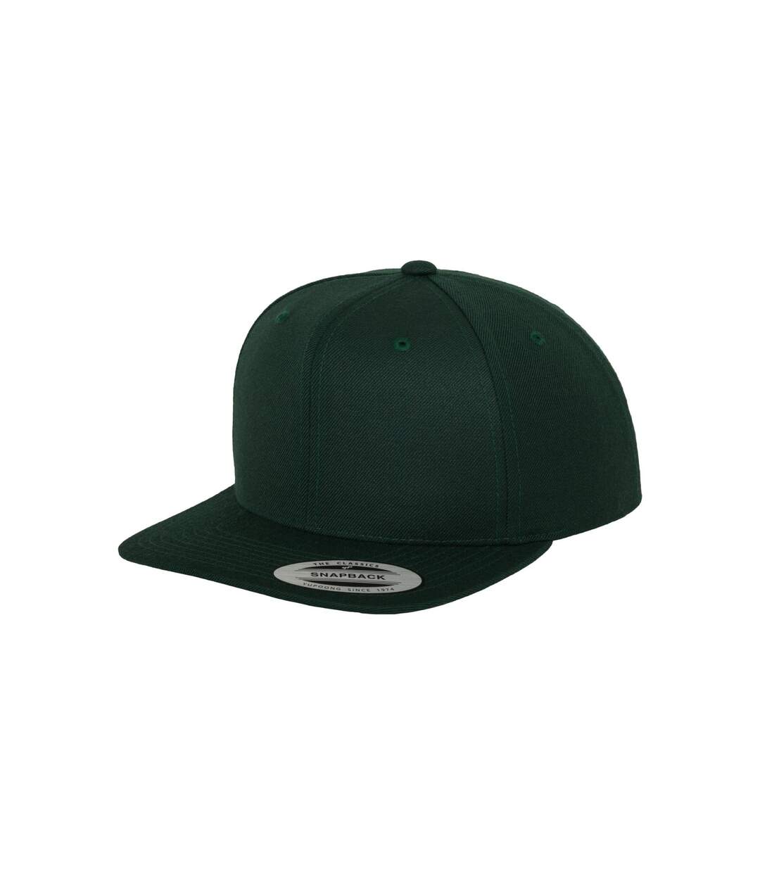 Unisex Adult Classic Snapback Cap Spruce Flexfit-4