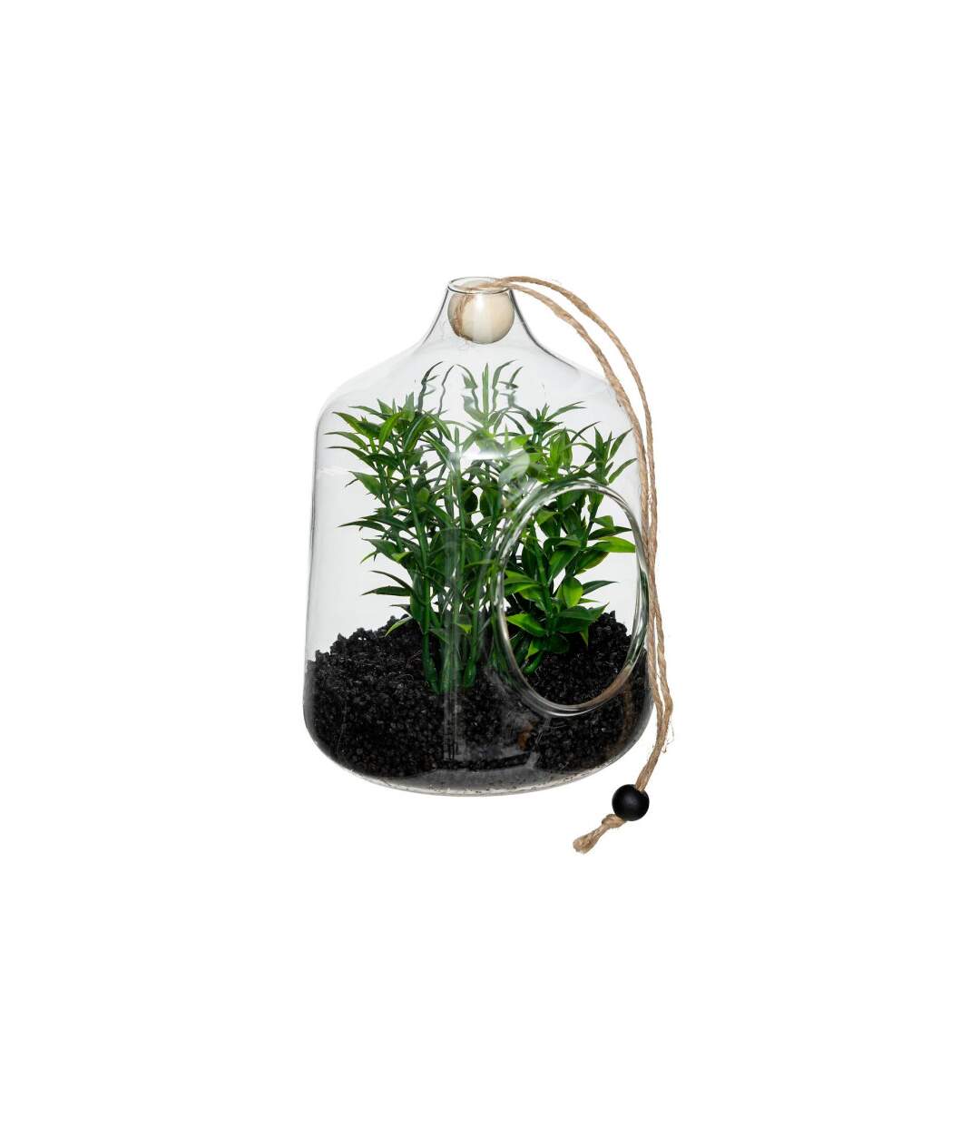 Terrarium à Suspendre Naly 15cm Vert-1