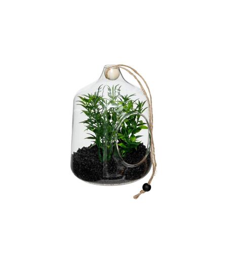 Terrarium à Suspendre Naly 15cm Vert