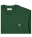 T-shirt Motif/style Logo Brodé Homme Vert Lacoste-4