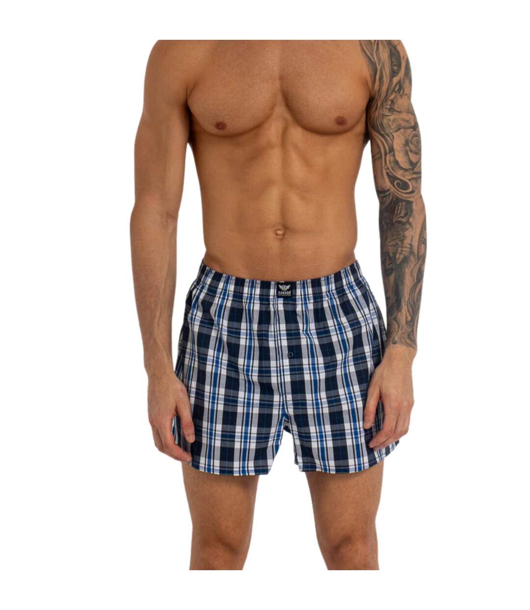 Pack of 6  Mens daxhe checked woven boxer shorts  blue Kandor