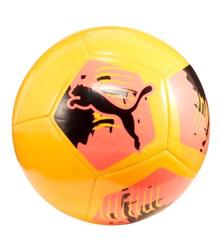 Ballon De Foot Big Cat Taille 4 Coucher De Soleil Soleil Noir Puma