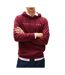Sweat bordeaux homme tommy hilfiger linear logo-1