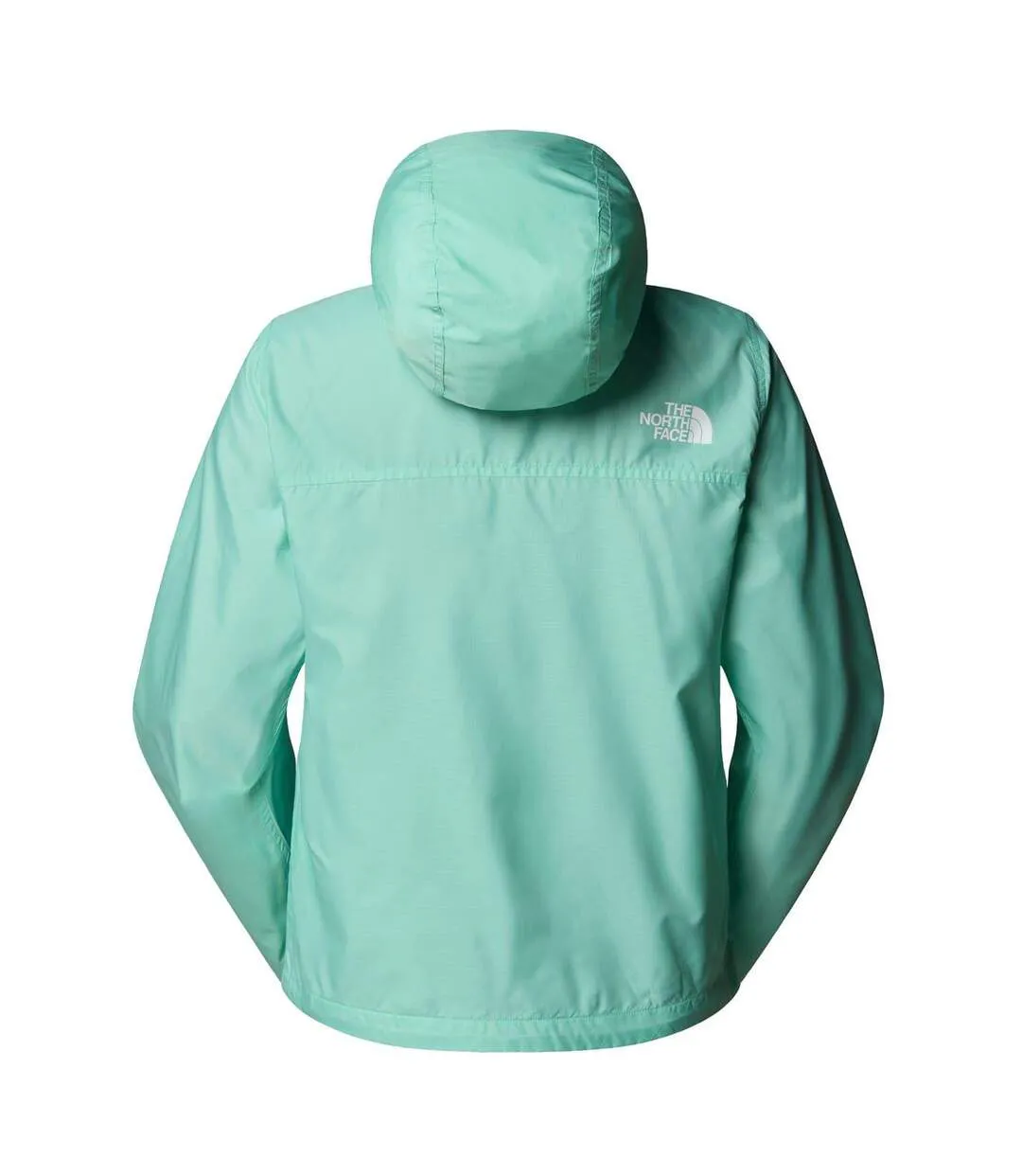 Veste À Capuche Motif/style Logo Femme Turquoise Vif The North Face-2