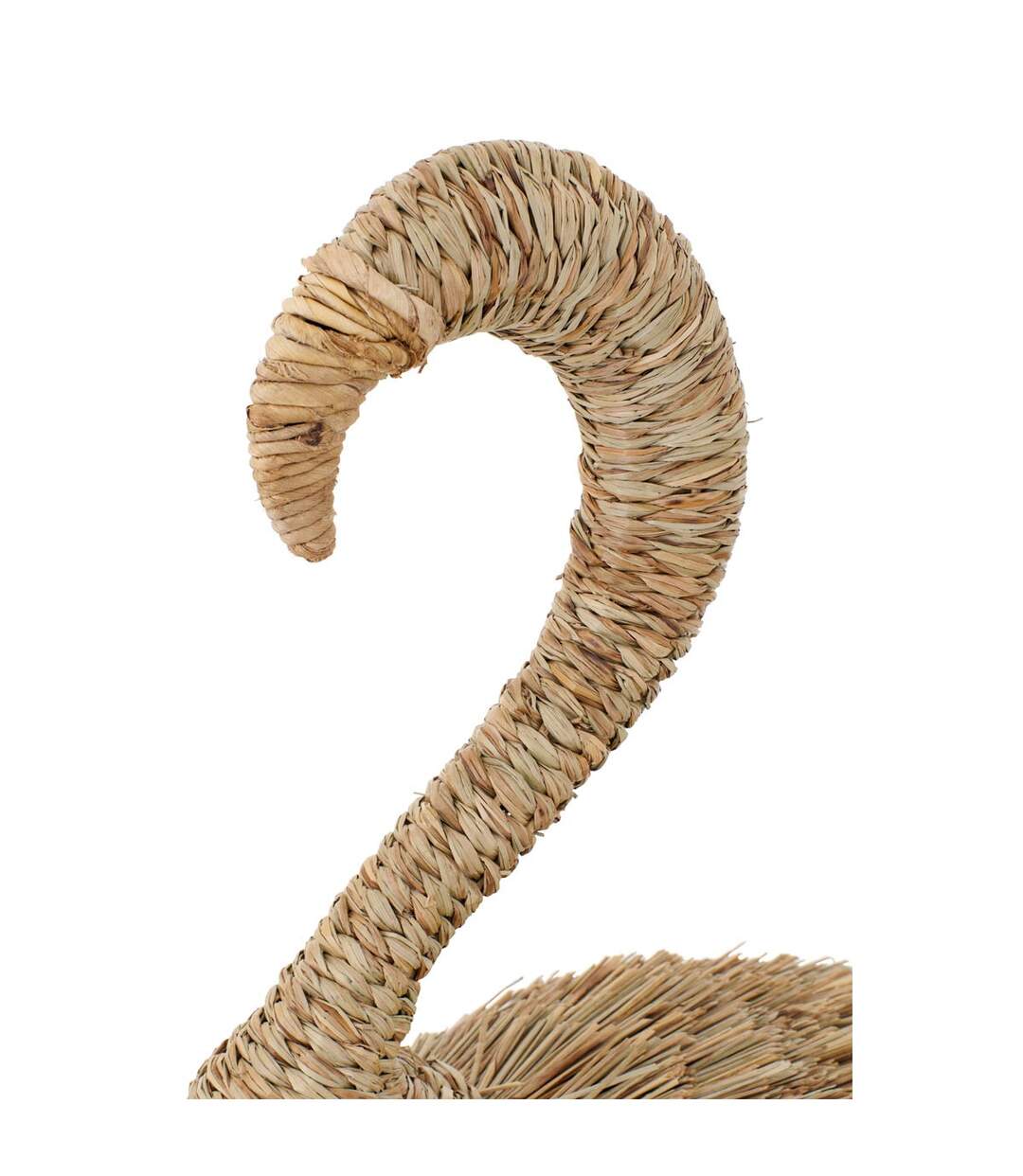 Flamant Rose Herbe Afrique 138cm Naturel-2