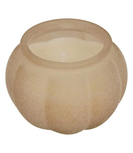 Bougie Parfumée en Verre Citrouille 100g Sapin & Eucalyptus