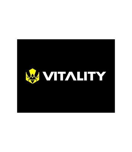 Bon cadeau de 29,90 € sur l'e-shop de la Team Vitality et de 50 € sur Valorant - SMARTBOX - Coffret Cadeau Multi-thèmes