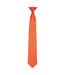 Premier Unisex Adult Satin Tie (Orange) (One Size) - UTPC6346