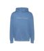 Sweat à capuche bleu homme tommy hilfiger linear logo - l-2