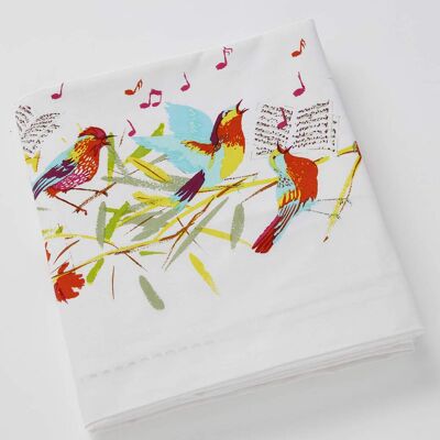 Le concerto des oiseaux