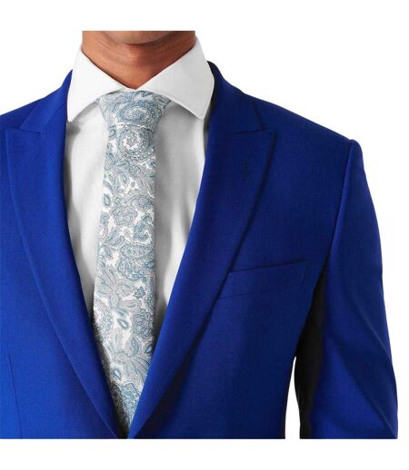 Mens Paisley Silk Twill Tie One Size Mint Haines And Bonner