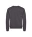 Sweat Miami Adulte Gris Métal Clique-2