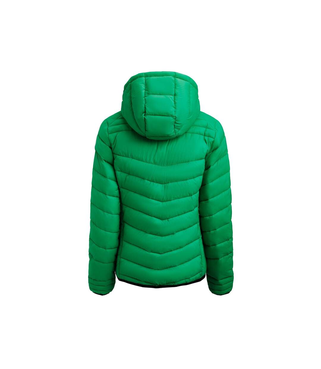 Womens/ladies Jacket Fresh Green Printer-3