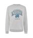 Sweat Motif/style Renard Adulte Gris Maison Kitsuné-2