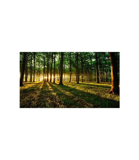 Papier Peint XXL Mystical Morning II 280x500cm