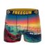 Lot de 3 boxers homme collection World Painting Freegun-4