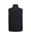 Mens Full Zip Gilet Black Ash Regatta-2
