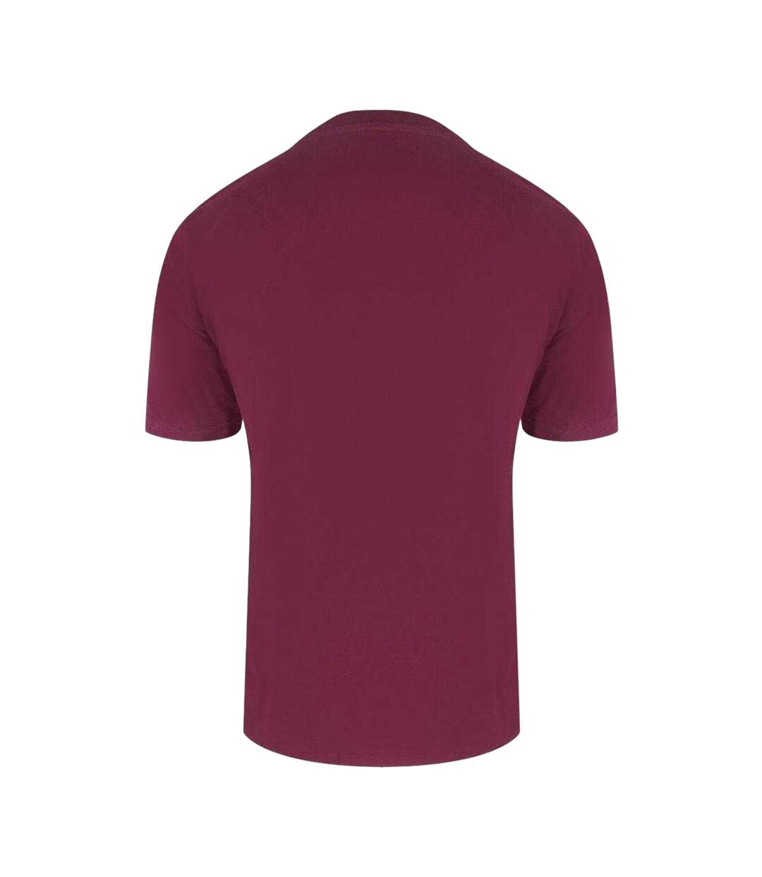 T-shirt Active Homme Bordeaux Aquascutum-2