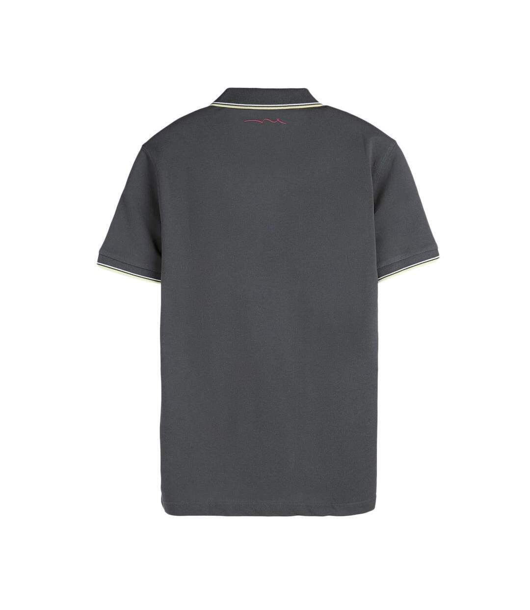Polo gris foncé homme teddy smith pasian 2 - 3xl-2
