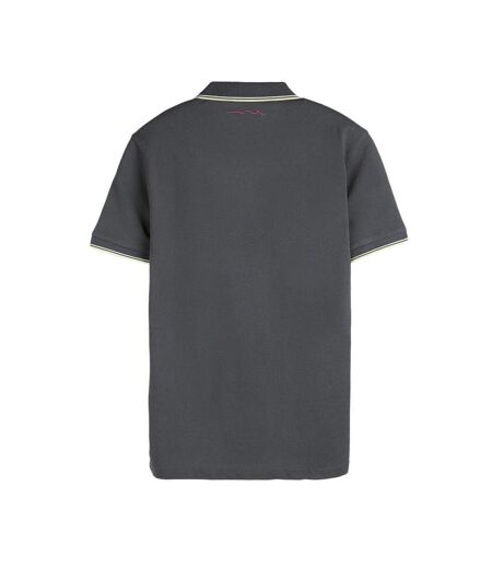 Polo gris foncé homme teddy smith pasian 2 - 3xl
