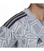 Maillot De Gardien De But Manches Courtes Condivo Homme Gris Adidas-4