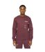 Mens Applewood Sweatshirt Raisin Duck And Cover-3