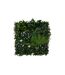 Carré Végétal Artificiel Jungle Izy 50cm Vert-1