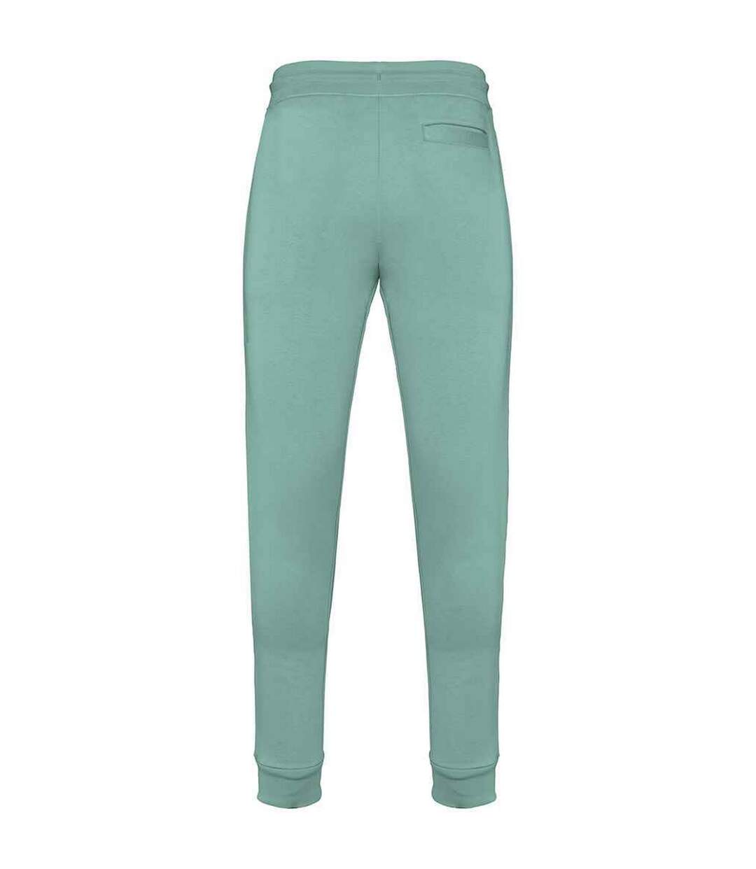 Pantalon de jogging homme jade Native Spirit-2