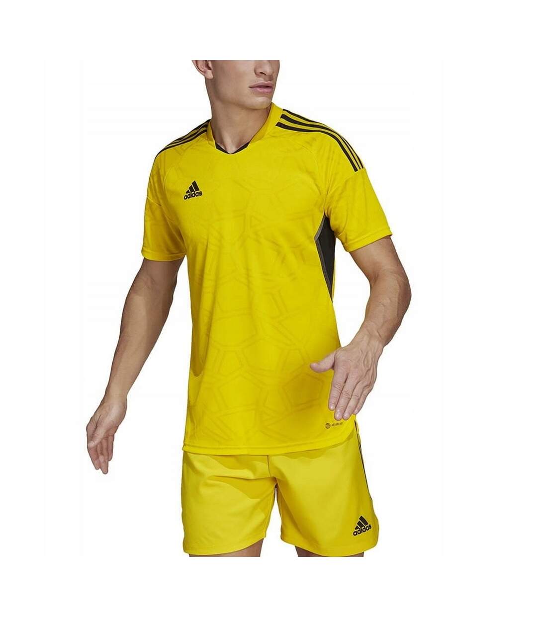 T-shirt Condivo Homme Jaune Adidas-1