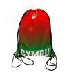 FA Wales Cymru Crest Drawstring Bag (Red/Green) (One Size)