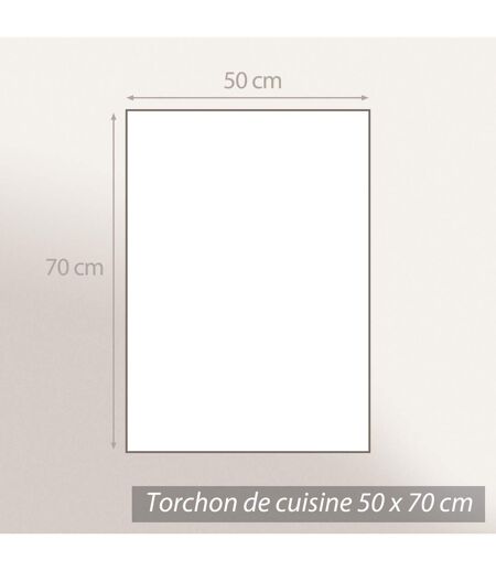 Lot de 2 torchons de cuisine toile 100% coton SKI