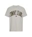 T-shirt Gris Homme Tommy Hilfiger Gold - L