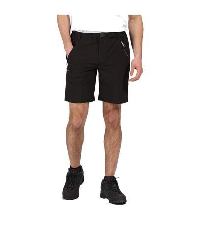 Regatta Mens Xert III Stretch Shorts (Black) - UTRG4948