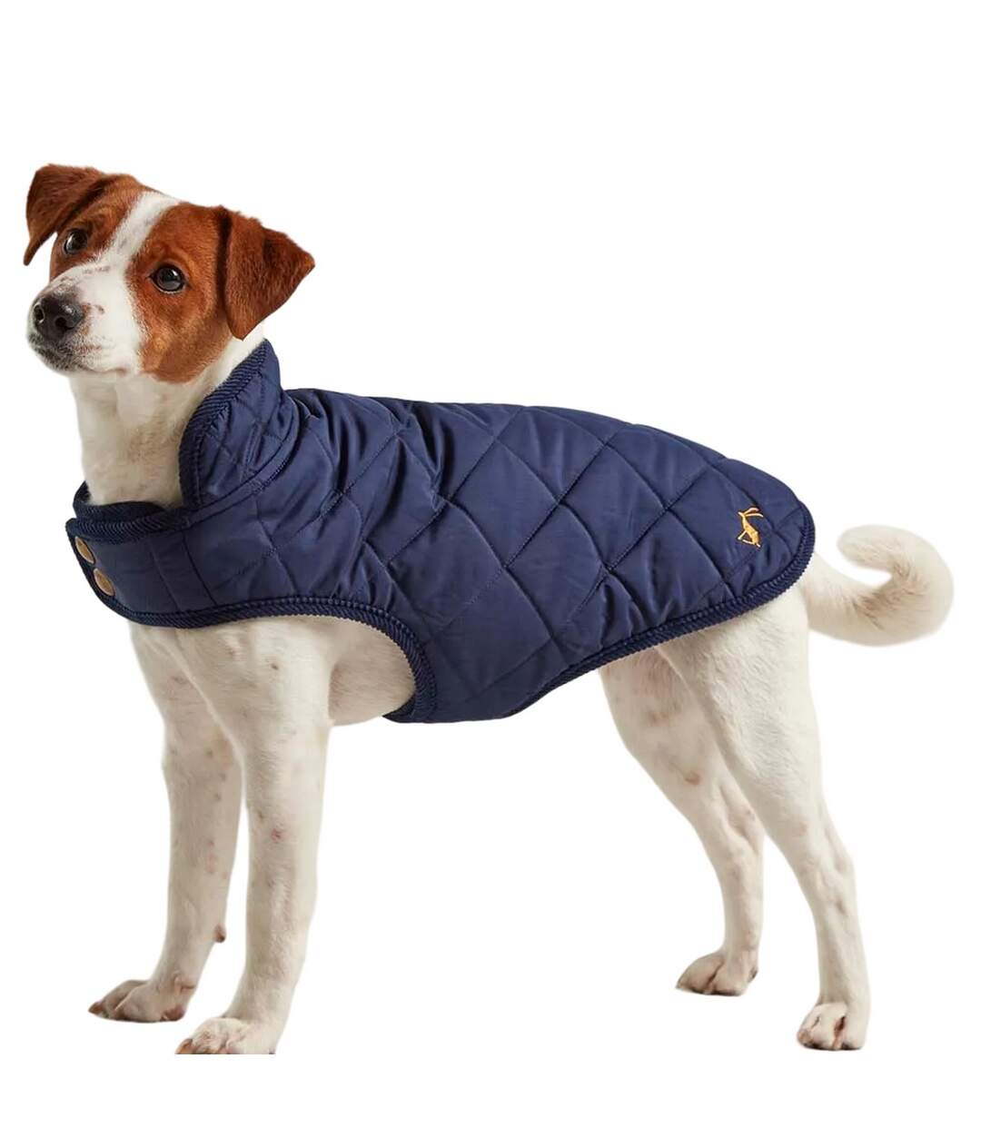 Quilted dog coat m navy Joules-1