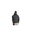 Sweat À Capuche Vision Adulte Charbon Uni Awdis-1