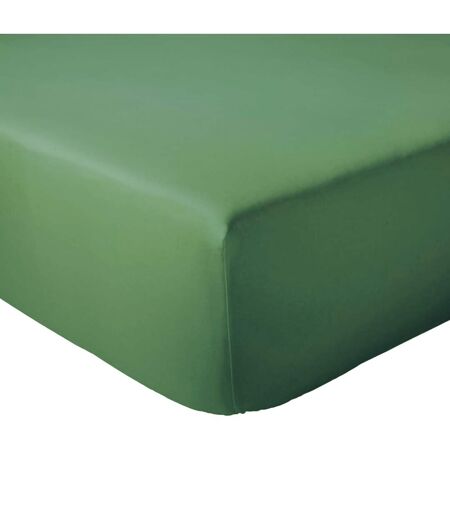 Drap housse coton EVASION Bonnet de 30 cm